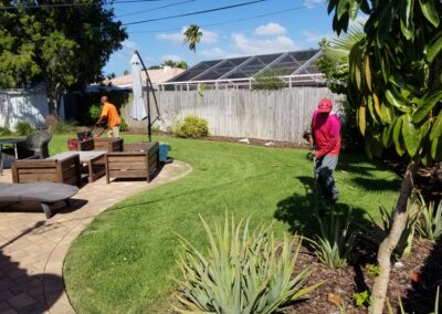 Premium Leaf Cleanup in Gulfport, Pasadena, and St. Pete Beach, FL