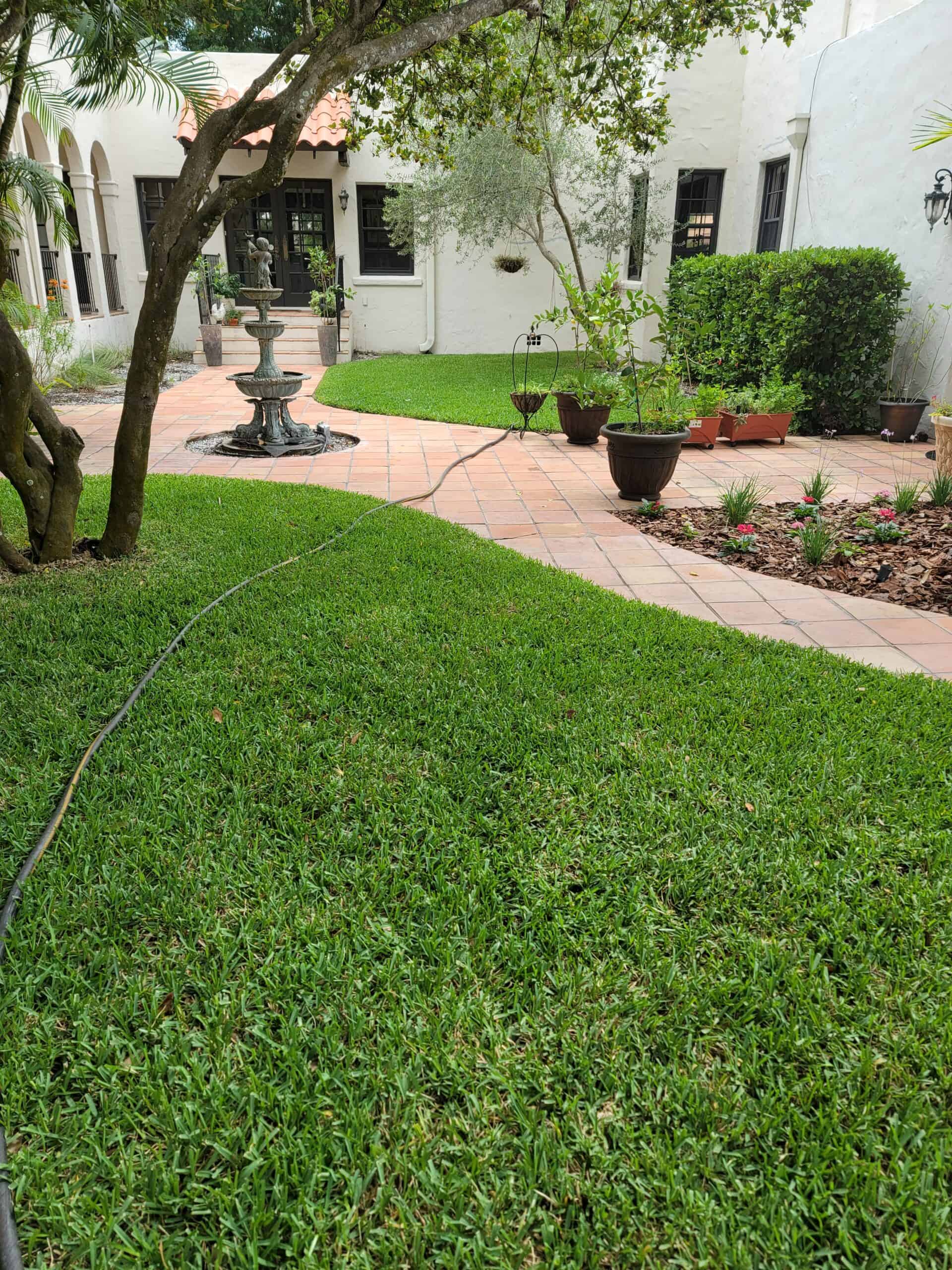 Lush landscape maintenance services in St. Pete Beach, Gulfport, and South Pasadena, FL!