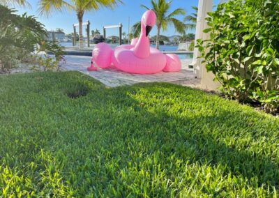 Luxurious Lawn Maintenance in Gulfport, FL