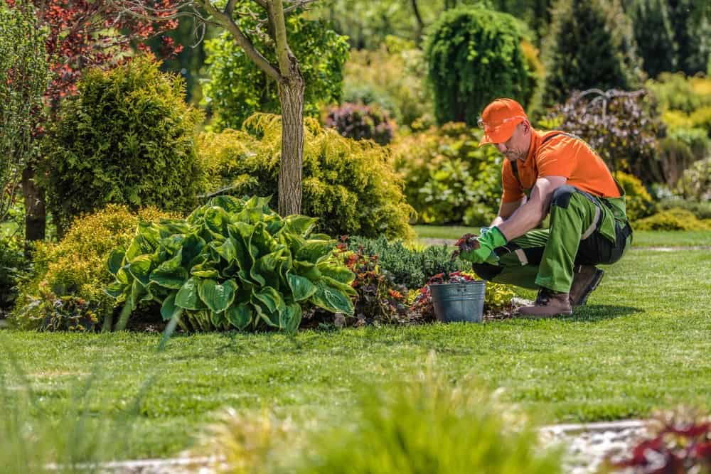 Landscape Maintenance: What Is It, And What Does It Do??
