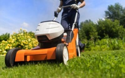 Lawn Maintenance is More Than Lawn Mowing