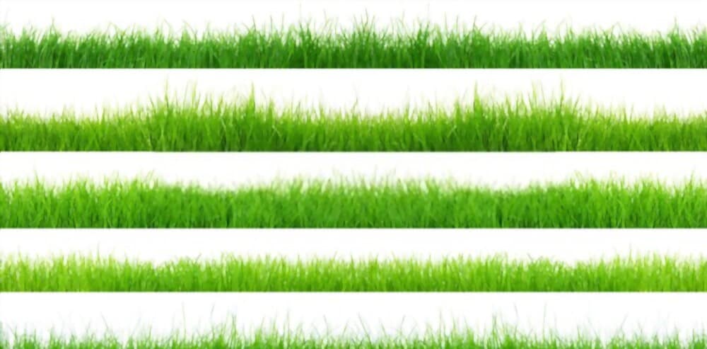 Your Grass and Ecosystem - Mulhern Landscapes