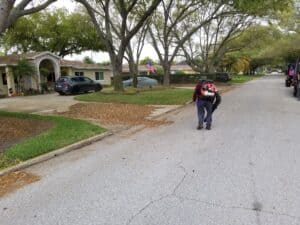 easonal Cleanup in Gulfport Florida